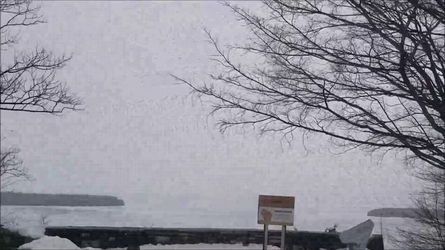 snesh смотреть онлайн
