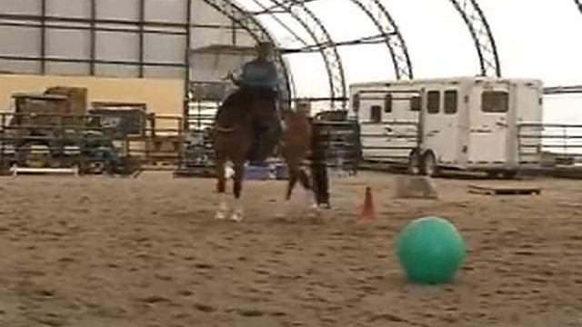 Soraya and Tanzanite - Passed 2++! Parelli Audition Freestyle Level 2 смотреть онлайн