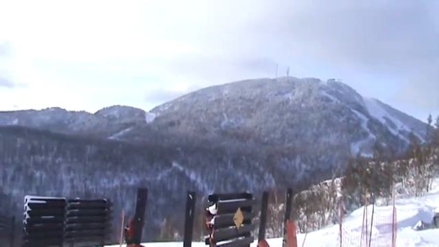 top2 vue owl head.MPG смотреть онлайн