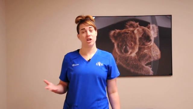 A Day in the Life of a Veterinary Assistant смотреть онлайн
