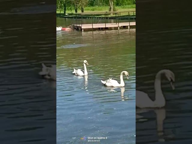 8 июня 2022 г. смотреть онлайн