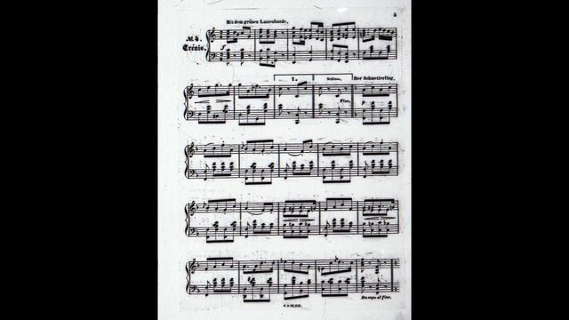 Eduard Strauss: Lieder-Kranz Quadrille nach Motiven von Franz Schubert in C major Op. 23 (1867) смотреть онлайн