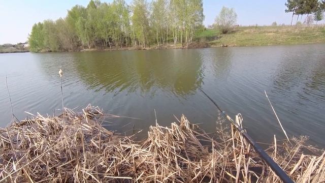 РЫБАЛКА НА ПОПЛАВОК | ЛОВЛЯ КАРАСЯ НА ДЕРЕВЕНСКОМ ПРУДУ смотреть онлайн