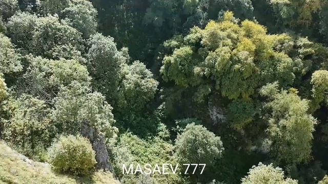Коран сура 41 : 33 смотреть онлайн