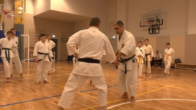 СК "БУДО" техника каратэ смотреть онлайн