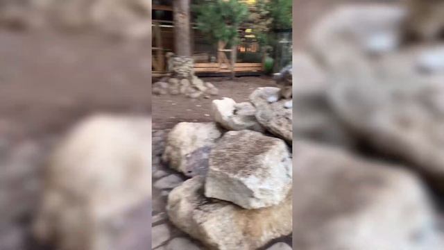 Кулинарные Приключения по Всему Миру