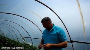 ВЫРАЩИВАНИЕ КЛУБНИКИ ПО МАЛООБЪЁМНОЙ ТЕХНОЛОГИИ/Вот такой урожай клубники!!!