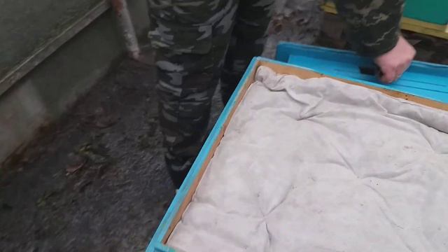 Контроль зимовки и наличия кормов 03.01.2021 смотреть онлайн