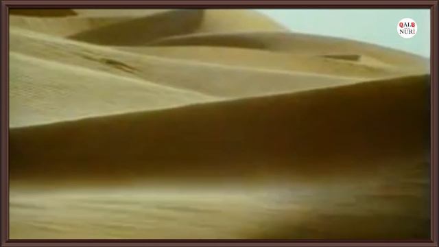 Tuya Haqida Tafakkur (Tuya Mujizasi) ABU HANIFAH