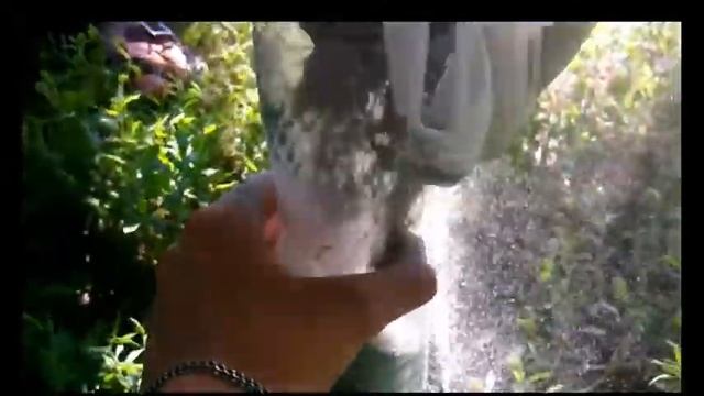 Как сделать фильтр для воды в походных условиях смотреть онлайн