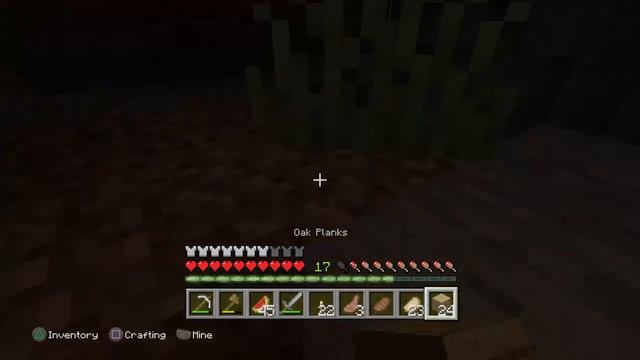 Minecraft Legit World.