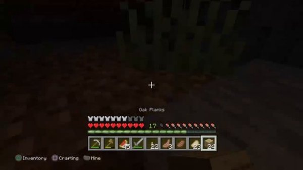 Minecraft legit world.