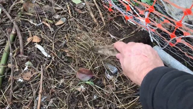 Ошибки При разведении КУР!!!