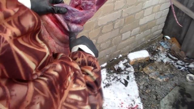 Обдирка шкуры лисы.Группа по уничтожению лис зелёный патруль.