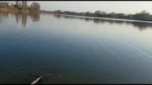 Форель на фидер. Ловля форели на пасту. Рыбалка в Алматы. Весна 2019 Седьмой нагульный!!!