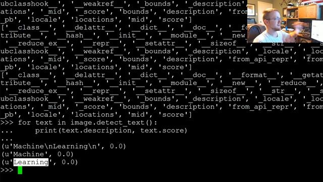 Vision API cont'd - Google Cloud Python Tutorials p.3 смотреть онлайн