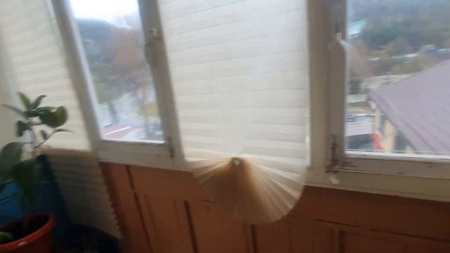 ПРОДАЖА! 2-комнатная квартиры в центре Шепси за 5,85 млн.р. смотреть онлайн