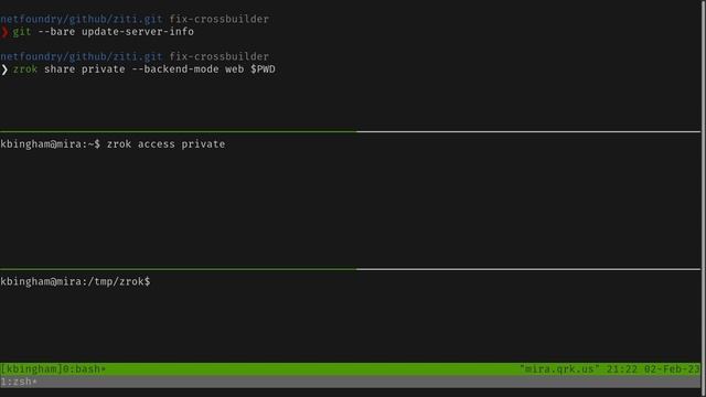 zrok Use Cases: A Simple Private Git Repository смотреть онлайн