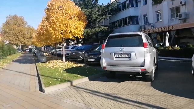 ТУАПСИНСКАЯ ОСЕНЬ 🍁🍁🍁 МОРЕ, СОЛНЦЕ... смотреть онлайн
