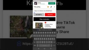 Как скачать видео из Tik Tok без водяного знака в галерею?