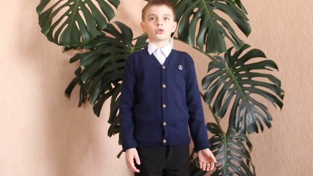 Аликин Даниил — Н.А. Некрасов, отрывок из поэмы «Мать» смотреть онлайн