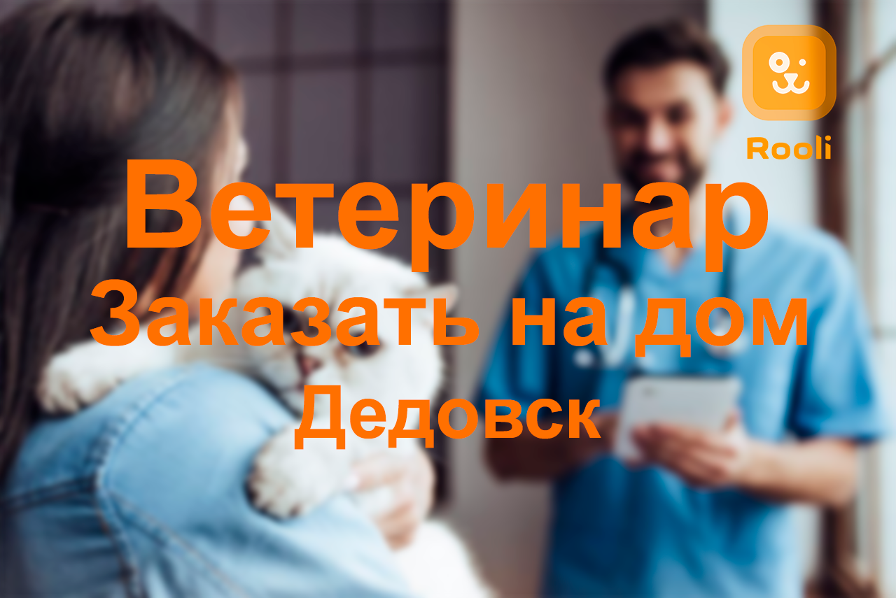 Дедовск: Профессиональные ветеринарные услуги для ваших питомцев смотреть онлайн