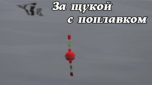 Ловля щуки на живца в ноябре. Рыбалка на поплавок поздней осенью