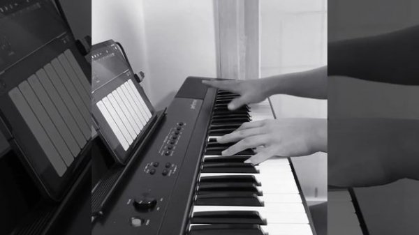 Artesia performer 아르테시아 퍼포머 디지털피아노