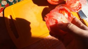 Такие Томаты Больше сажать Не Буду! Обзор томата Сто пудов. #стопудов #томатстопудов