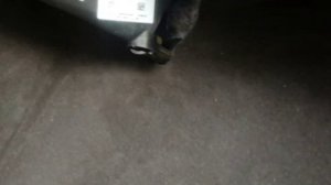 Вода в фольксваген туарег