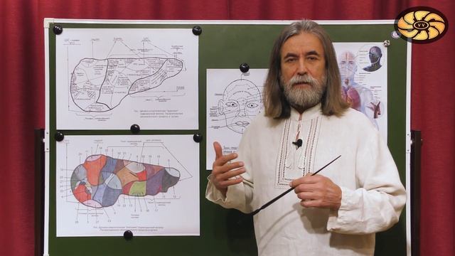 Как поведение влияет на работу внутренних органов человека. Ведическая Концепция Здоровья. Урок 4 смотреть онлайн