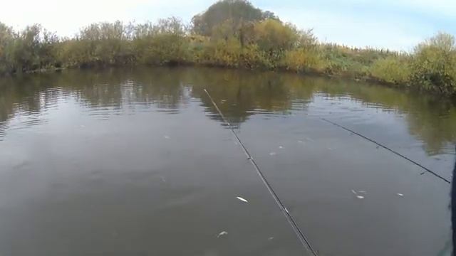 ЩУКА ЖИРУЕТ!!!+Местная мамка малой реки на спиннинг#малаярека #жорщуки #щуканаспиннинг #рыбалка смотреть онлайн