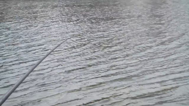 Штекер в ноябре на Луневском канале смотреть онлайн