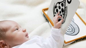 ЧЕРНО-БЕЛЫЕ КАРТИНКИ ДЛЯ НОВОРОЖДЕННОГО РЕБЕНКА | Зона развития для вашего малыша