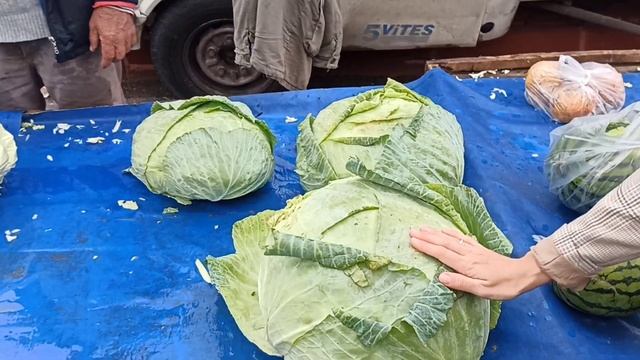 Цена МЕДА в Турции 7,5 $ на 01.11.21. Пчеловодство смотреть онлайн