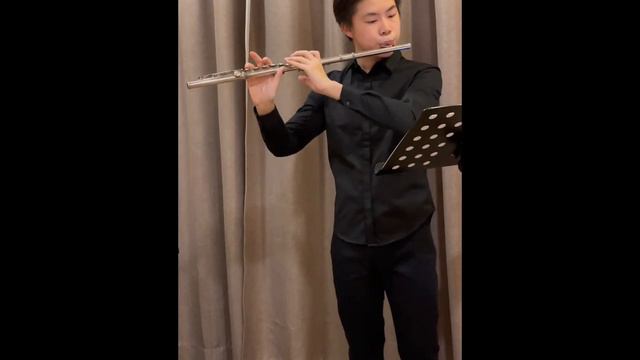 Mozart Quartet in D Major 1st movement by Hoh Man смотреть онлайн