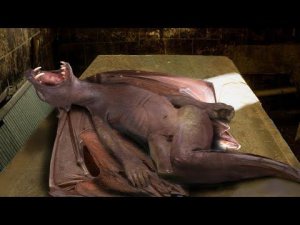 Страшные Находки, от Которых у Вас Пойдут Мурашки