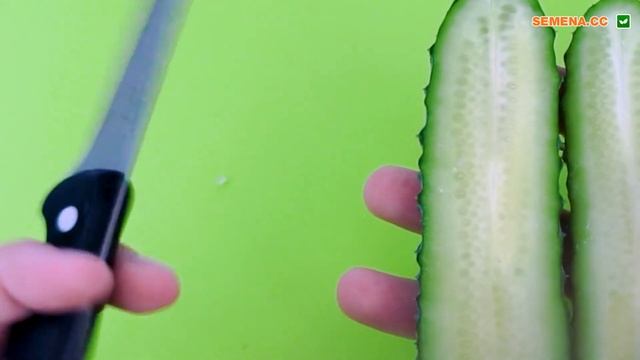 Огурец от компании Nunhems. Элитор F1. Описание и характеристики смотреть онлайн