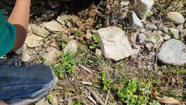 #Village fishing , Rhododendron hunt..😁 Enjoy смотреть онлайн