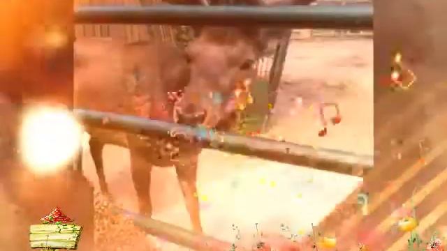 Зоопарк Лимпопо смотреть онлайн