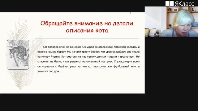 Вебинар «Функциональная грамотность школьника. Модуль "Смысловое чтение"» смотреть онлайн