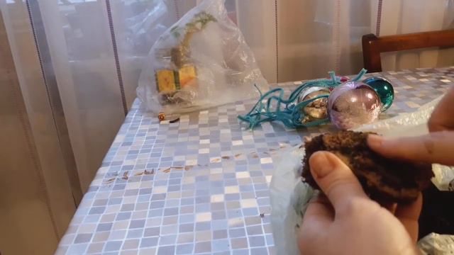 Деление клубня глоксинии. #gloksiniya #глоксиния