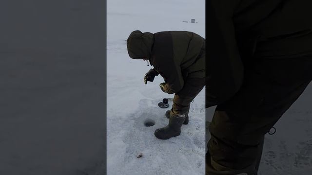 Ямальские щуки, рыбалка на жерлицы смотреть онлайн