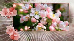 Музыка весны