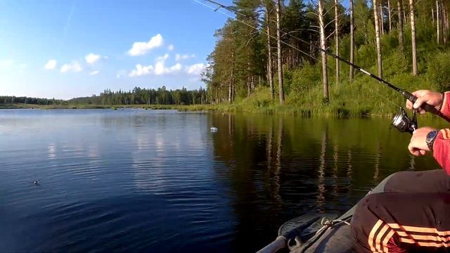 Рыбалка на озере в Красноярске. Умудрились поймать в хорошем прессинге смотреть онлайн