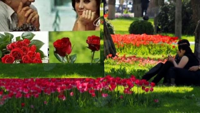 Mirzə Babayev- Flora Kərimova Saçlarina gül düzüm.mus. Rauf H, söz Yusif H Azərbaycan radiosu 105F смотреть онлайн