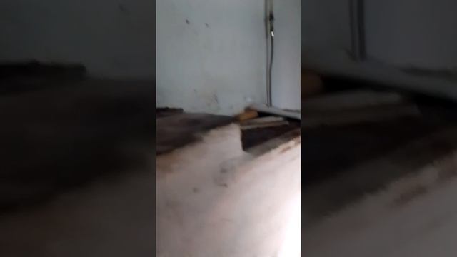 11389763 смотреть онлайн