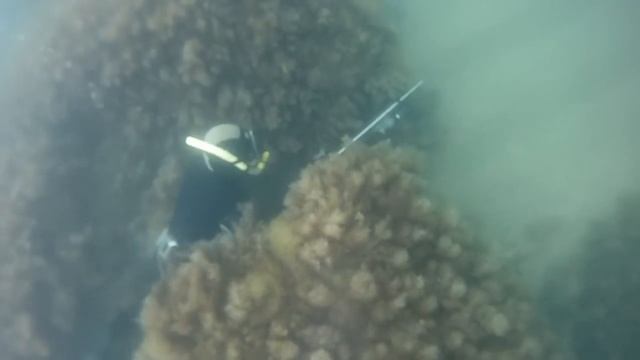Проба камеры GoPro с штатной сферической линзой. смотреть онлайн