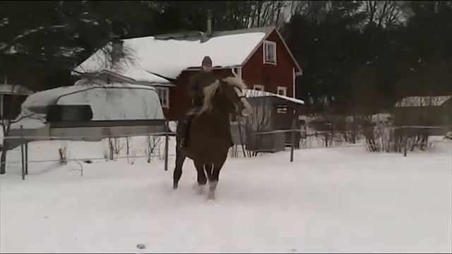 Videokamera 24 02 2013 019 смотреть онлайн