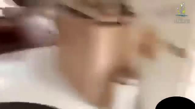 Видео про кошек Кошки приколы Забавные животные 2014 смотреть онлайн